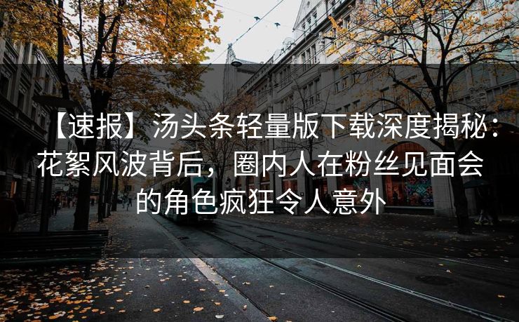 【速报】汤头条轻量版下载深度揭秘：花絮风波背后，圈内人在粉丝见面会的角色疯狂令人意外